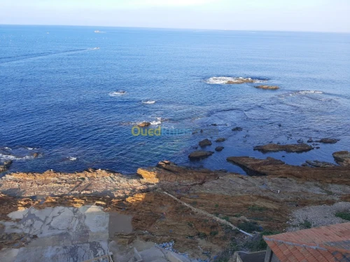 Vente Immeuble Oran Arzew