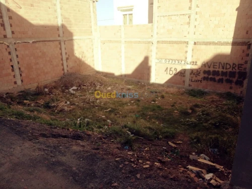 Vente Terrain Tlemcen Tlemcen