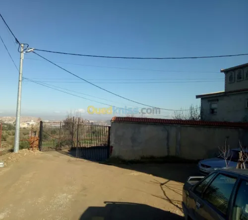 Vente Terrain Tlemcen Tlemcen