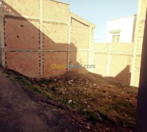 Vente Terrain Tlemcen Tlemcen