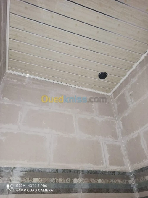Aluminum et faux plafond pvc  et ba3