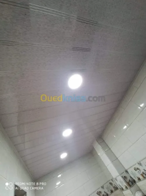 Aluminum et faux plafond pvc  et ba3