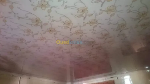 Aluminum et faux plafond pvc  et ba3