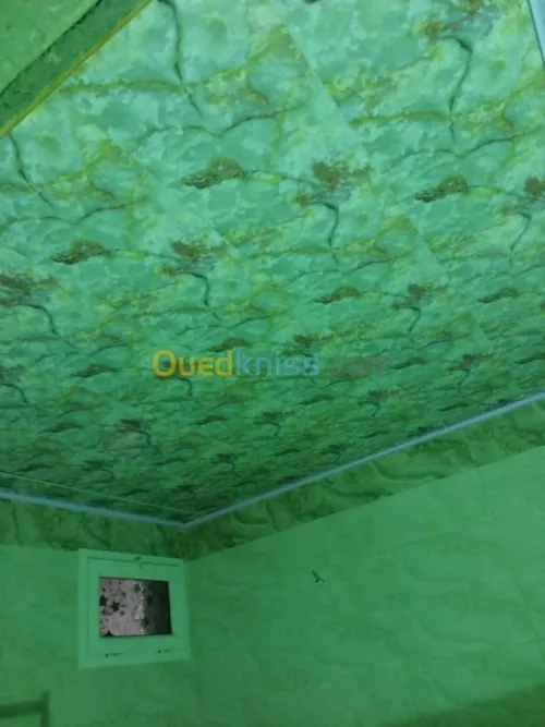 Aluminum et faux plafond pvc  et ba3