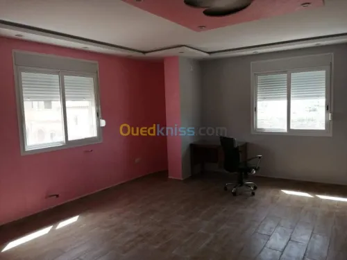 Aluminum et faux plafond pvc  et ba3