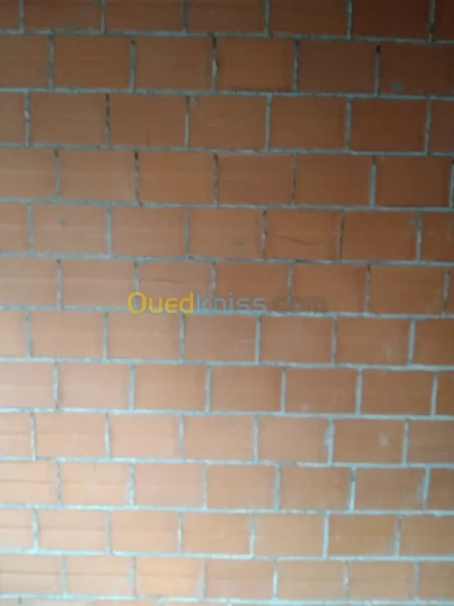 Tous travaux Maçonrie