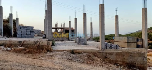 Vente Carcasse Tlemcen Tlemcen