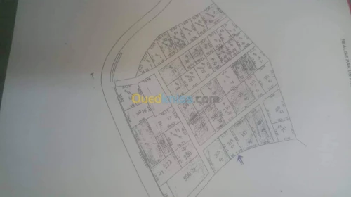 Vente Terrain Blida Bougara
