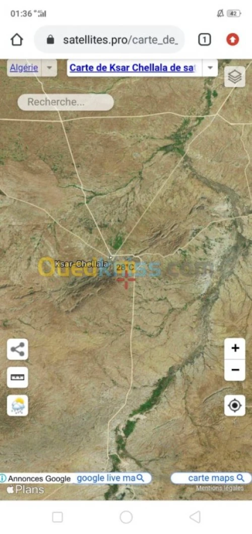 Vente Terrain Agricole Tiaret Ksar chellala