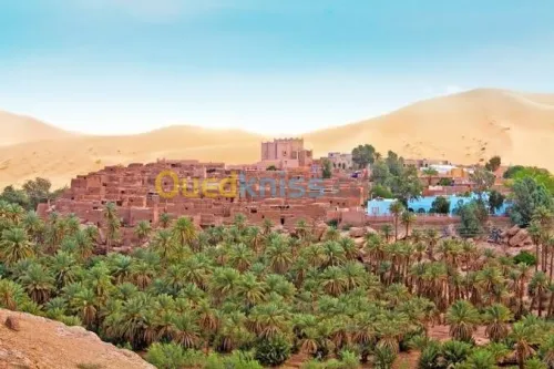 Location vacances bien immobilier Bechar Taghit