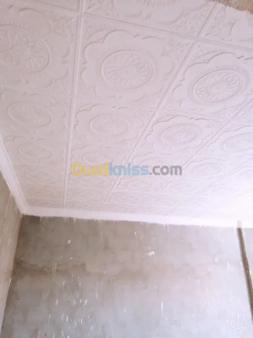 Echange Villa Biskra Bouchagroun