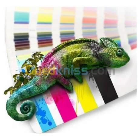 Machine et impression flexo
