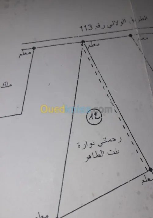 Vente Terrain Setif Guelta zerka