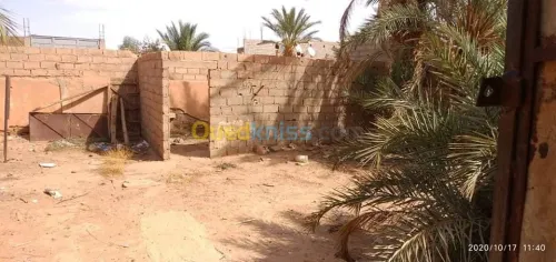 Vente bien immobilier Bechar Kenadsa