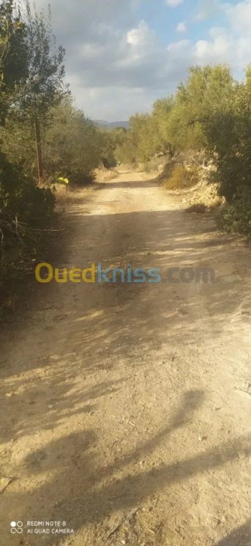 Vente Terrain Bejaia Ait rzine