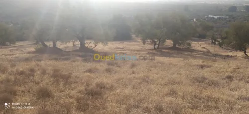 Vente Terrain Bejaia Ait rzine