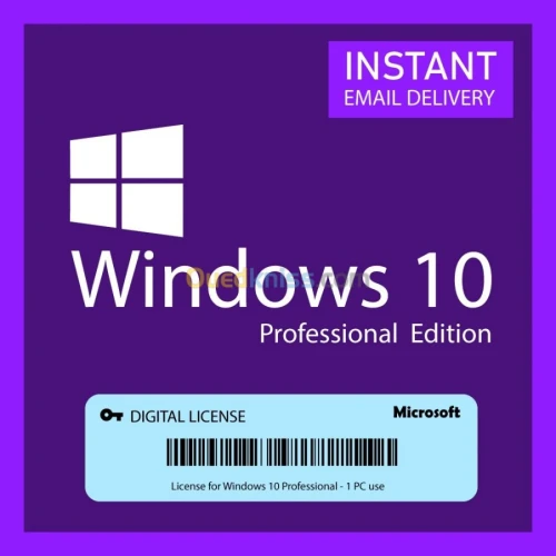 Microsoft Windows 10 professionnel