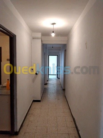 Location Appartement F4 Alger Les eucalyptus
