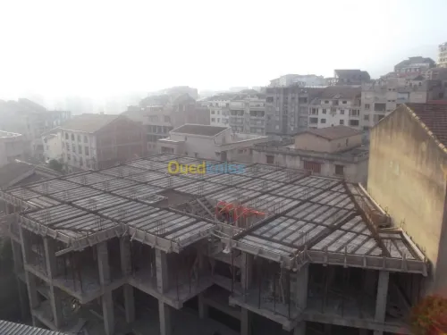 Travaux de Dallage