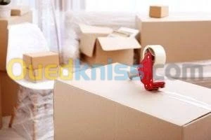 déménagement et livraison plus