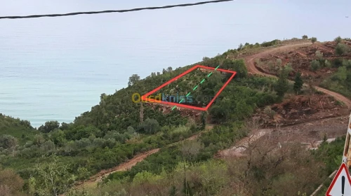 Vente Terrain Bejaia Tichy