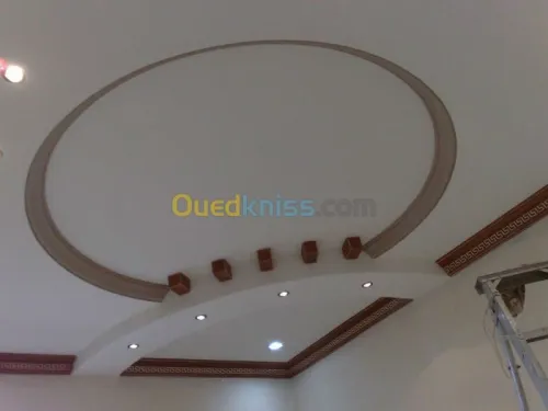 pose des faux plafonds et dÃ©coration