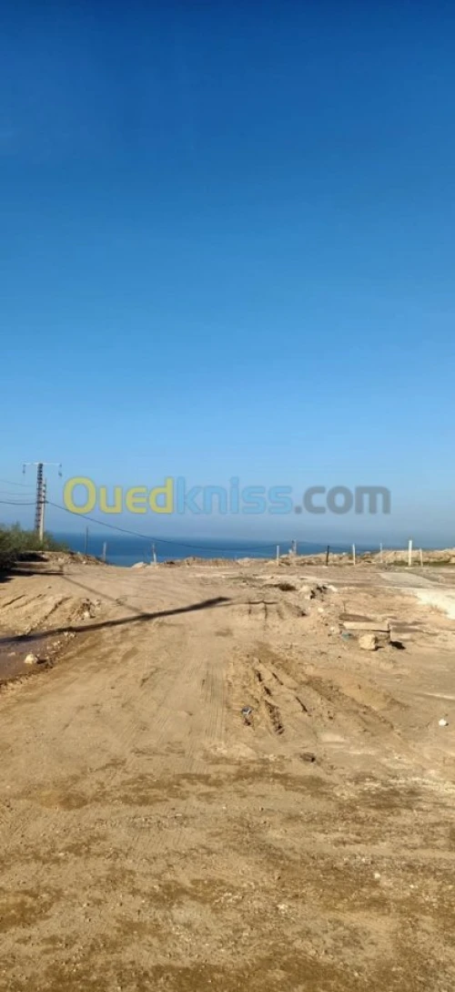  Mostaganem Mostaganem