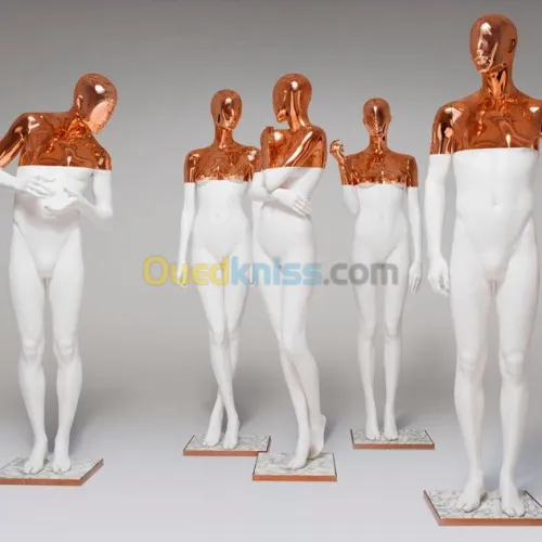 Agencement & Equipement Magasins 