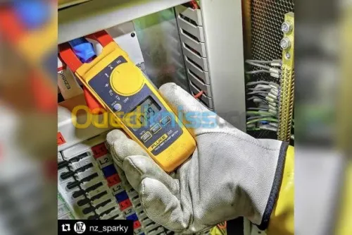 Pince ampèremétrique Fluke 325