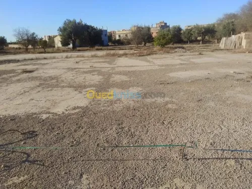 Vente Terrain Tlemcen Hennaya