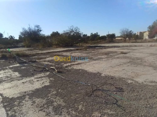 Vente Terrain Tlemcen Hennaya
