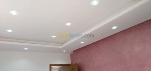 .Placo    BA 13.BA 10.PVC
