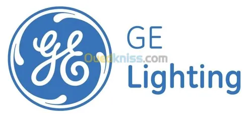 Affaire a saisir tube led General Elec