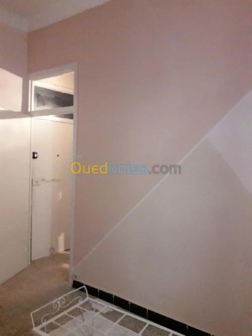 Location Appartement F1 Alger Bab el oued