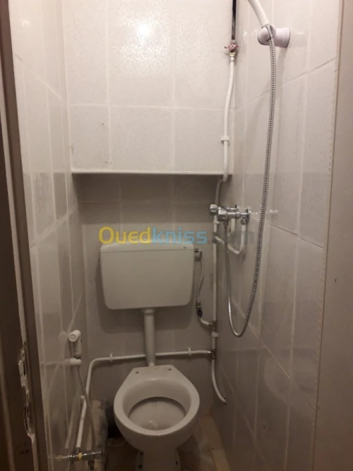 Location Appartement F1 Alger Bab el oued