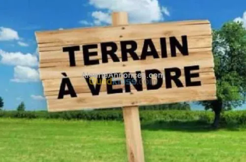 Vente Terrain Alger Saoula