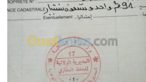 Vente bien immobilier Djelfa Djelfa