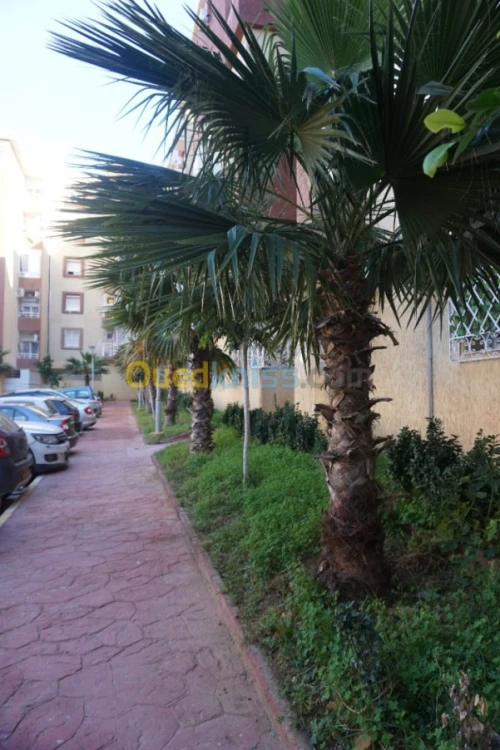 Location Appartement F4 Alger Bordj el bahri