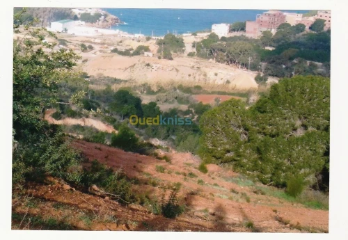 Vente Terrain Tlemcen Honaine