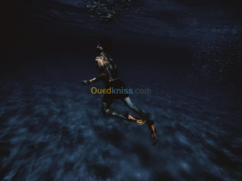 Photographe- Cameraman professionnel 