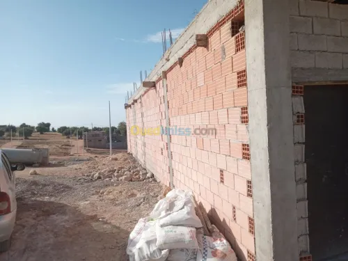 Vente Terrain Tlemcen Tlemcen