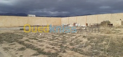 Location Terrain Batna Oued chaaba