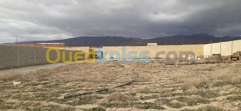 Location Terrain Batna Oued chaaba