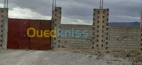 Location Terrain Batna Oued chaaba