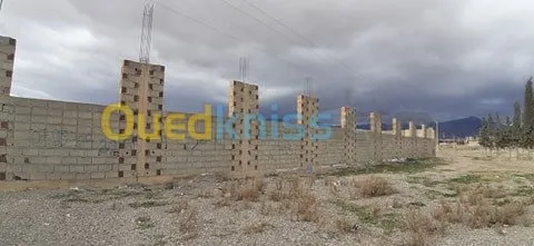 Location Terrain Batna Oued chaaba