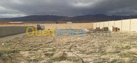 Location Terrain Batna Oued chaaba