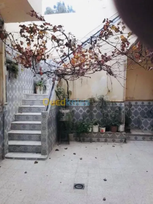 Vente Villa Ain defla Khemis miliana