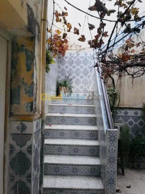 Vente Villa Ain defla Khemis miliana