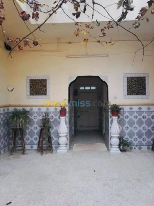 Vente Villa Ain defla Khemis miliana