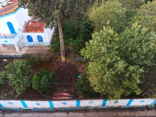 Vente Villa Skikda Skikda